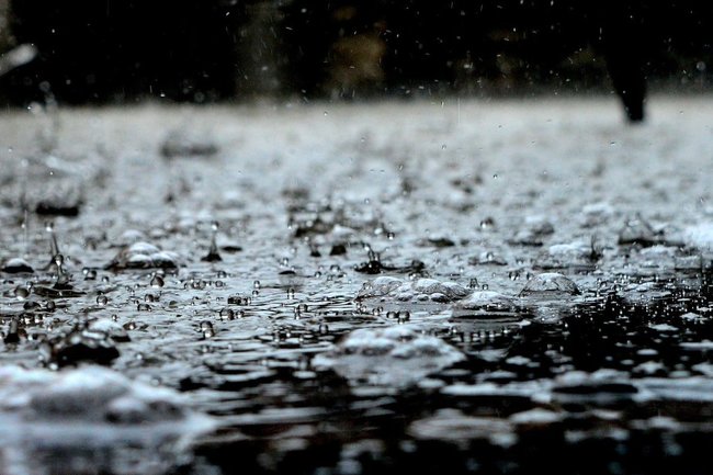 В Югре ожидается сильный дождь, ветер и гроза