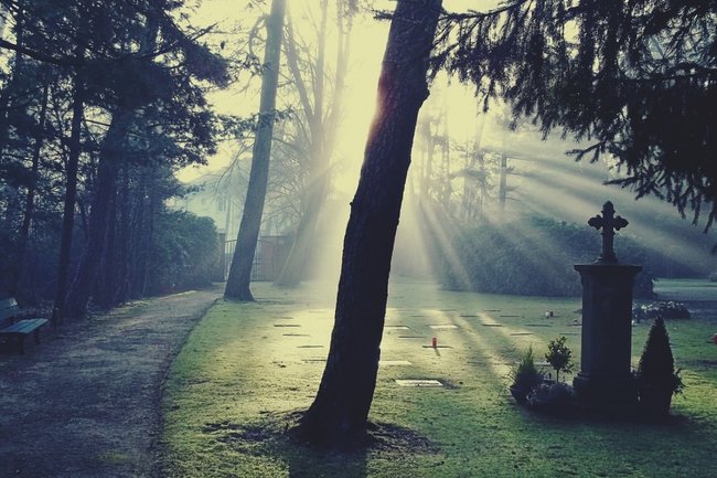 погребение, кладбище, смерть