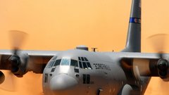 Минобороны Турции подтвердило гибель 20 человек в результате крушения C-130 в Грузии