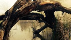 В Калининградской области мужчина убил своего пасынка и утопил его в болоте из-за просьбы заняться спортом