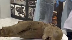 Знаковые находки мамонтов в России: как они были обнаружены и что выяснили ученые