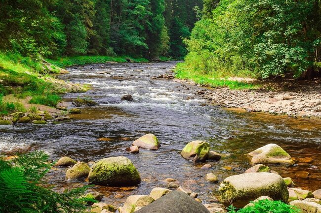 Река. Архивное тематическое фото Pixabay; не река в провинции Авила.