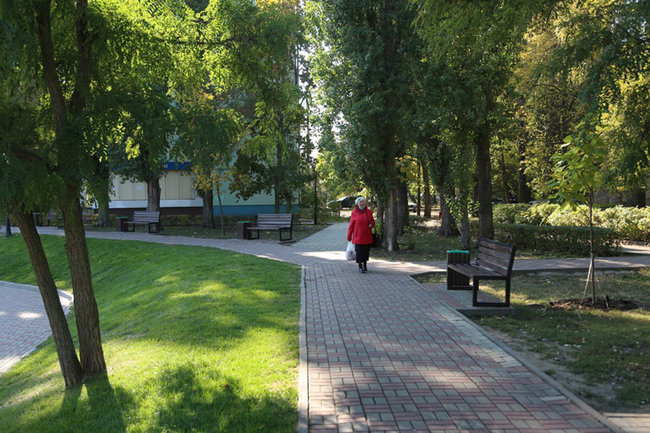 В Воронежской области из-за COVID-19 продезинфицируют парки и скверы