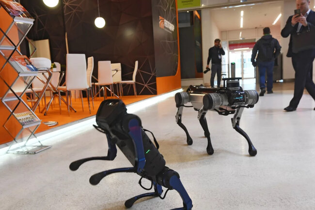 В США ищут людей, которые будут выгуливать роботов-собак за $20 в час