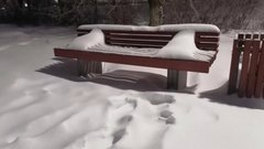 Стало известно, когда в Москве уменьшится количество снега