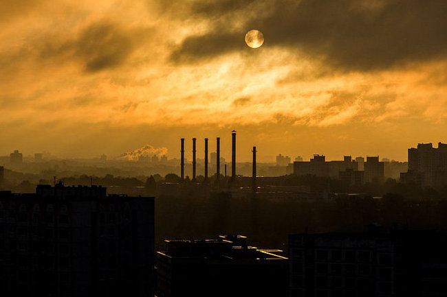 В Ленинградской области появится завод по производству топливных гранул