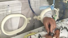 Неожиданная информация о роддоме в Новокузнецке, где произошли смертельные случаи среди новорожденных