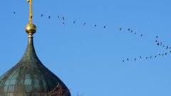 В РПЦ обнаружили связь между материалами Эпштейна и грядущим приходом антихриста