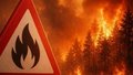 В Крыму объявлен режим чрезвычайной ситуации из-за лесного пожара в Ялте