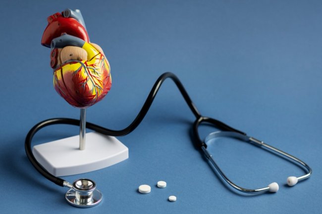 сердце, орган, операция, хирург, кардиолог, врач, таблетки, давление, стресс, медицина, инфаркт, лечение, боль, больница, заболевание
