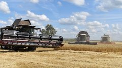 В Татарстане появится зерновой хаб для торговли с Азией