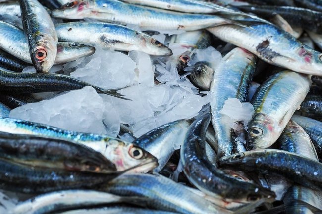 На Ямале появятся 2 новых предприятия по переработке рыбы