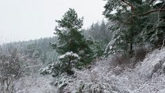 Снегопад охватит всю Сахалинскую область