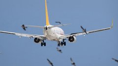 Туроператоры организуют пересадку туристов с отмененных рейсов турецких авиакомпаний