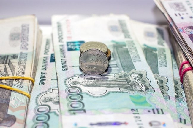 Начинающие фермеры Ямала получат по 3 млн рублей