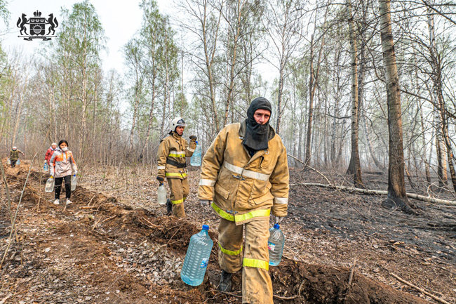 пожар пожары лес пожарная опасность возгорание спасатель пожарный мчс Тюмень 