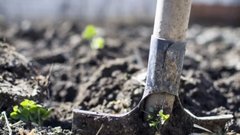 Агроном Викулов поделился советами по планированию посадок в огороде