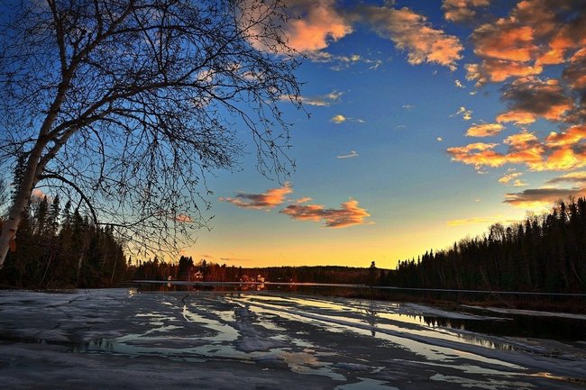 В Новосибирской области ожидается весенняя погода на следующей неделе