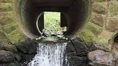 В Лондонской канализации образовалась жировая пробка весом 100 тонн