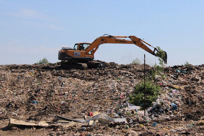 Вместо помойки — краснокнижные деревья: под Геленджиком обещают убрать огромный мусорный полигон