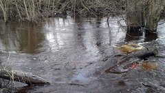 В Ингушетии создали 9 пунктов временного размещения на случай наводнения