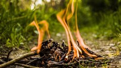 Возможно ли сжигать мусор на даче в 2026 году: нормы, расстояния и штрафные санкции
