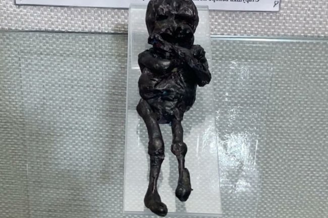 кыштымский карлик
