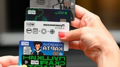 В Совфеде поддержали снижение возраста участников «Пушкинской карты» до 10–12 лет