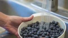 Ученые выявили ягоды, способствующие здоровью сердца