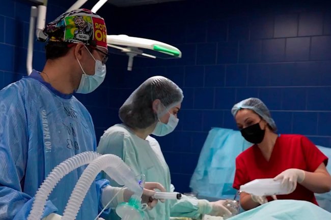 Хирурги спасли жизнь будущей матери