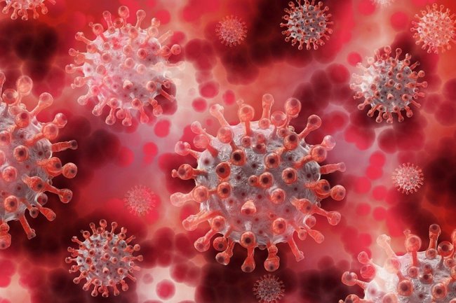 коронавирус, ковид, медицина, земля, вирус