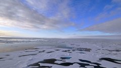 Температура поверхности мирового океана достигла рекордных значений в июне