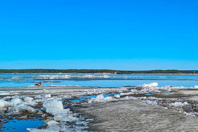 Главный метеоролог Ямала рассказал, когда реки в округе освободятся ото льда