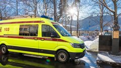 В Подмосковье стая ротвейлеров атаковала детей в коттеджном посёлке