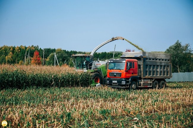 В Чувашии аграрии собрали более 965 тыс. тонн зерна