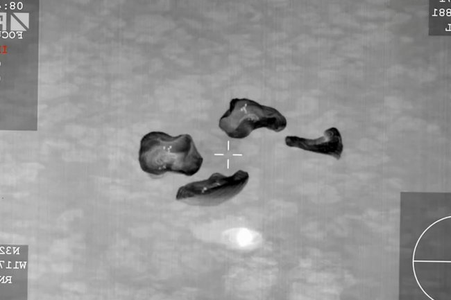 Корабль SpaceX Crew Dragon завершил свою миссию раньше срока