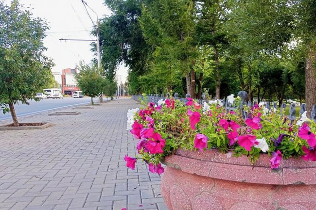 Алексей Коваленок / РБК Новосибирск