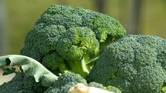 Доктор Мясников назвал брокколи самым полезным овощем в мире