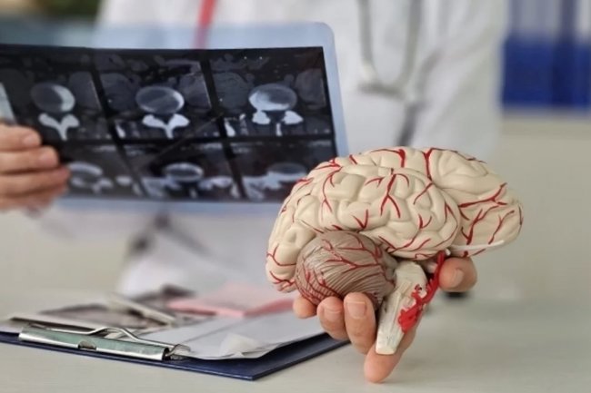 Исследователи уверены, что их открытие открыло новые возможности для создания лекарств.