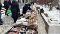 Выяснилось, какая рыба в России больше всего подешевела