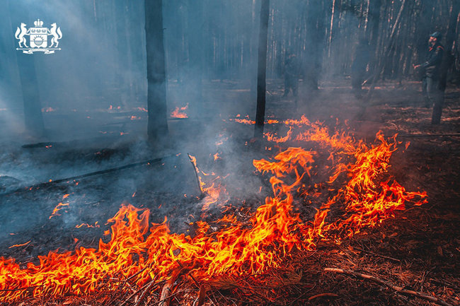 МЧС России направило еще один самолет в Югру для борьбы с лесными пожарами