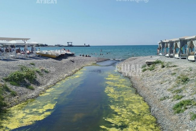 Открытие прорана в Новороссийске: узкий проход между Суджукской лагуной и морем не спасает рыб от гибели