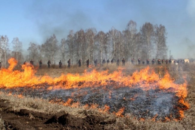 МЧС по Новосибирской области