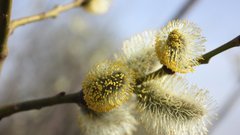 С четверга в Москве погода вернется к апрельским нормам