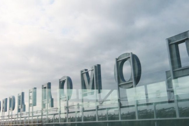 Московский международный аэропорт Домодедово - РИА Новости, 1920, 03.02.2026