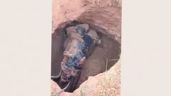 В Астраханской области лошадь упала в захоронение эпохи Золотой Орды