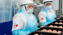 Выручка группы «Черкизово» увеличилась на 11,4% в 2025 году