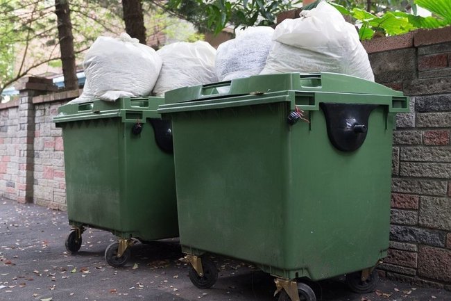 Выбросил мусор – остался без авто: Госдума одобрила новый закон