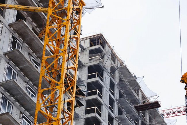 Фото: XanderSt / Shutterstock / FOTODOM