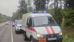 Спасатели Подмосковья нейтрализовали боеприпас со времен Великой Отечественной войны